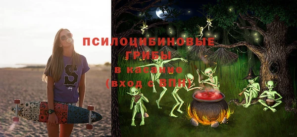 mdpv Горняк