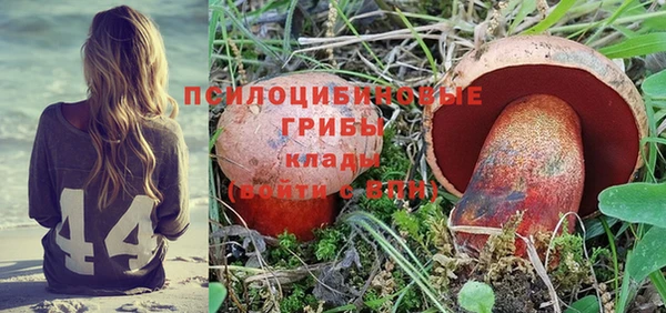 гидропоника Горно-Алтайск