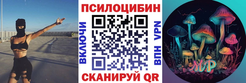 Купить закладки  Новотроицк  Галлюциногенные грибы мухоморы 