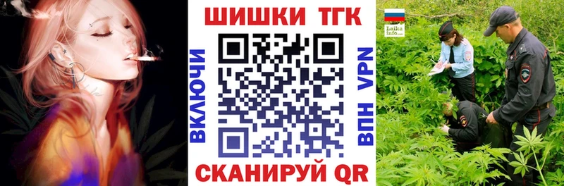 Купить закладки  Новотроицк  Бошки марихуана индика 